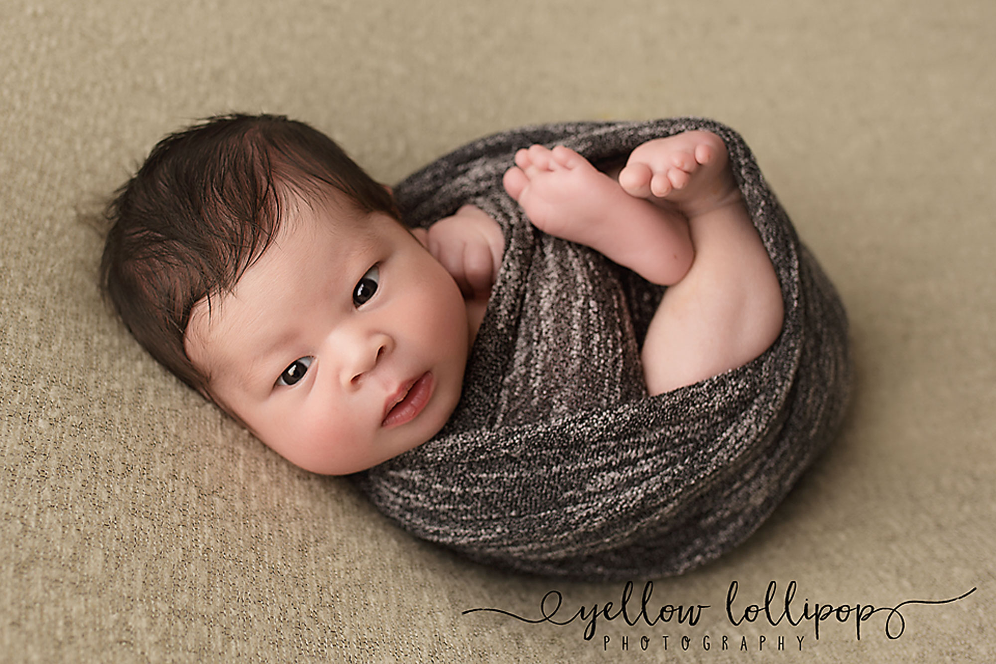 newborn session in somerset county