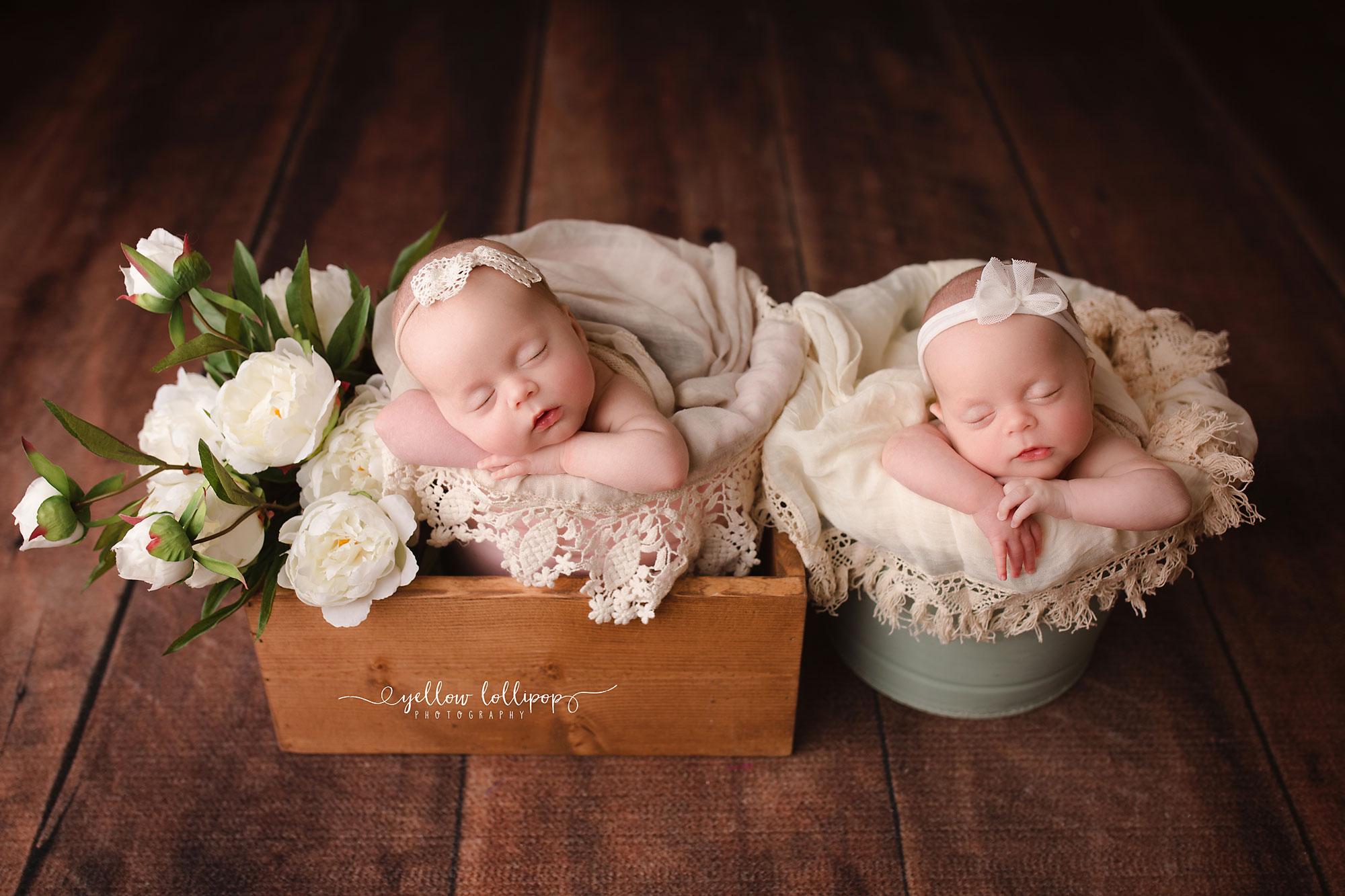 baby twins photography somerset county newborn photographer baby girls sleeping in buckets