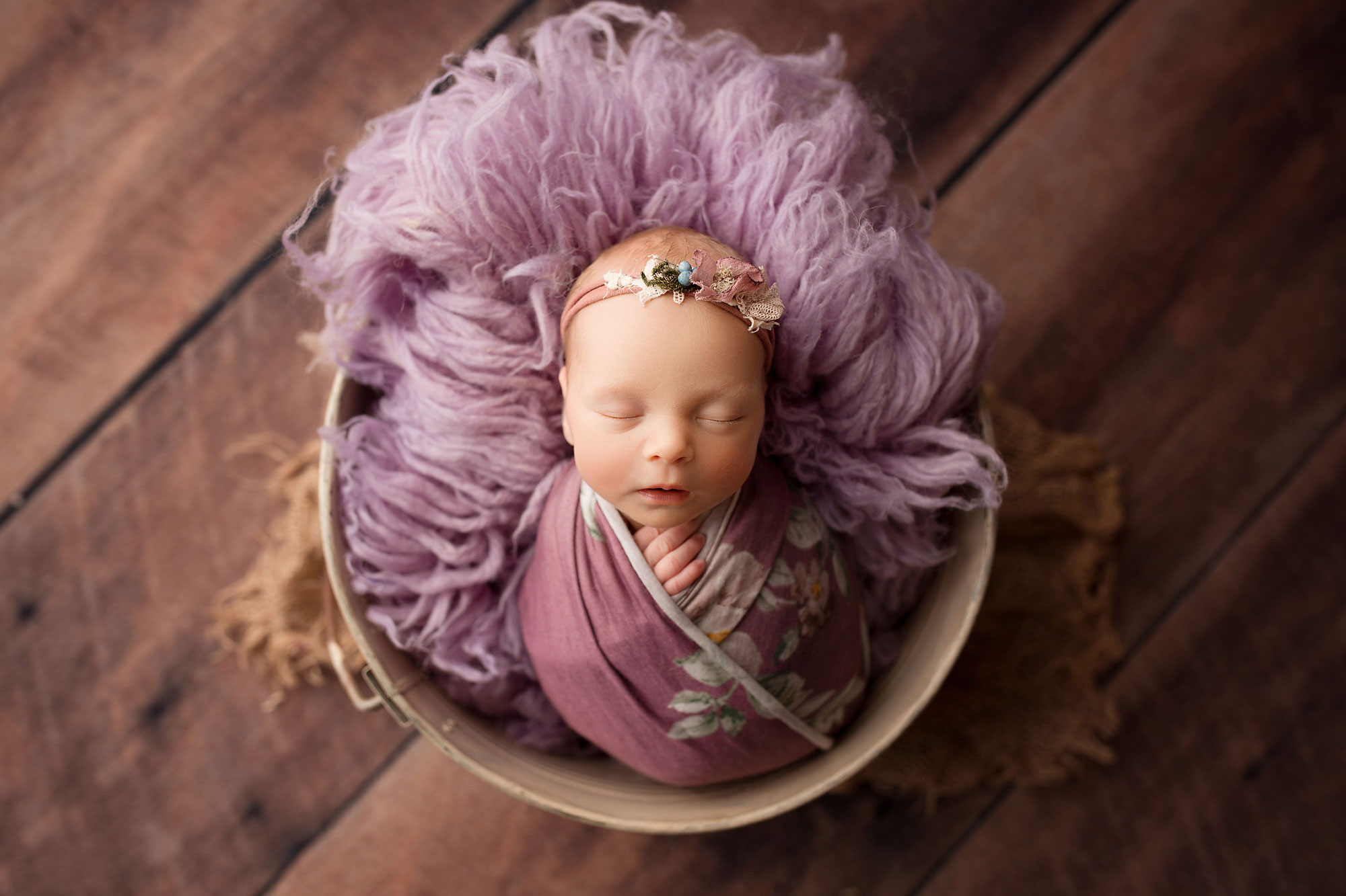 newborn photography morristown nj baby in a bucket purple set up