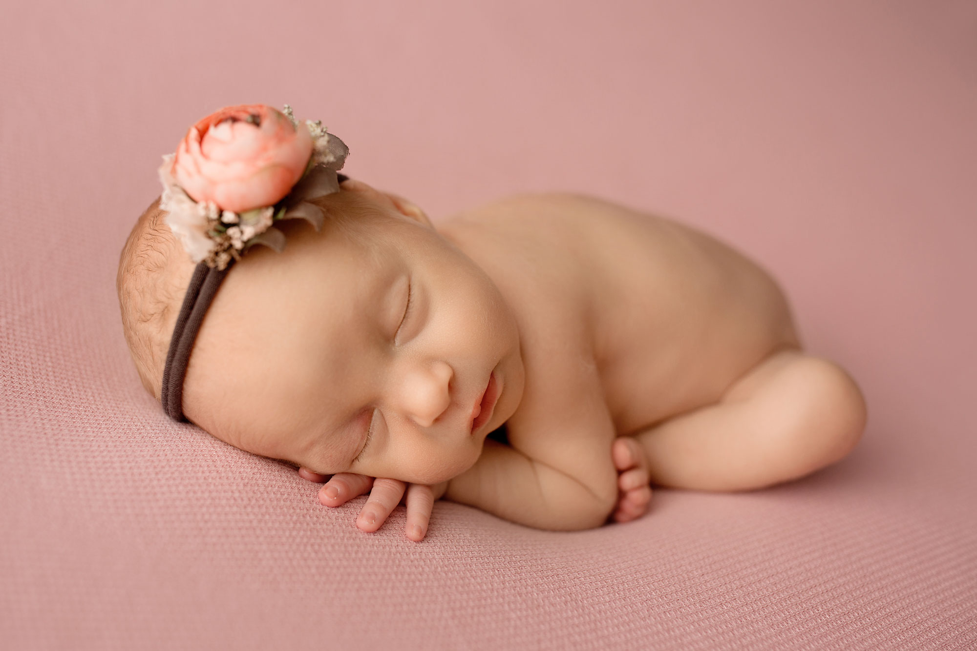 newborn photography morristown nj baby sleeping on a pink blanket