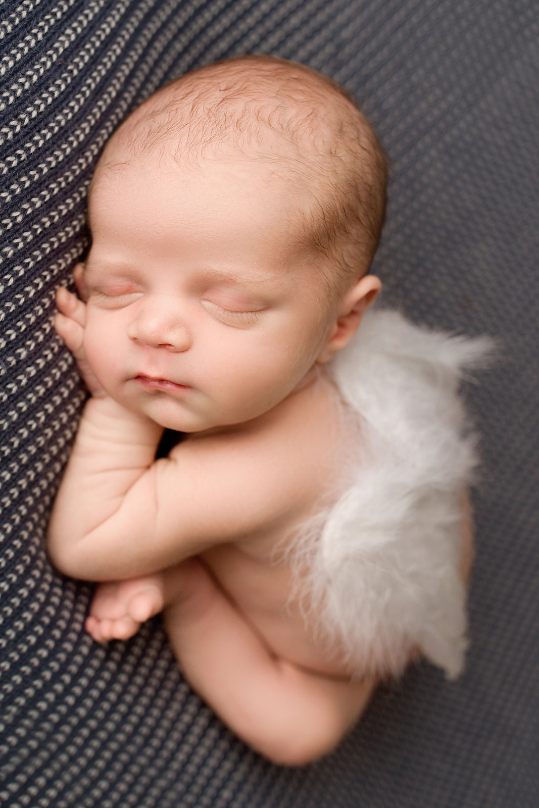 studio newborn photography new jersey, sleeping baby with angel wings