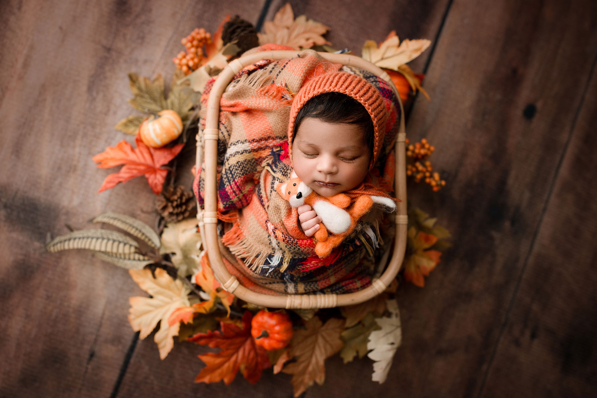 studio newborn photographer, baby asleep in basket with fox toy and autumn leaves