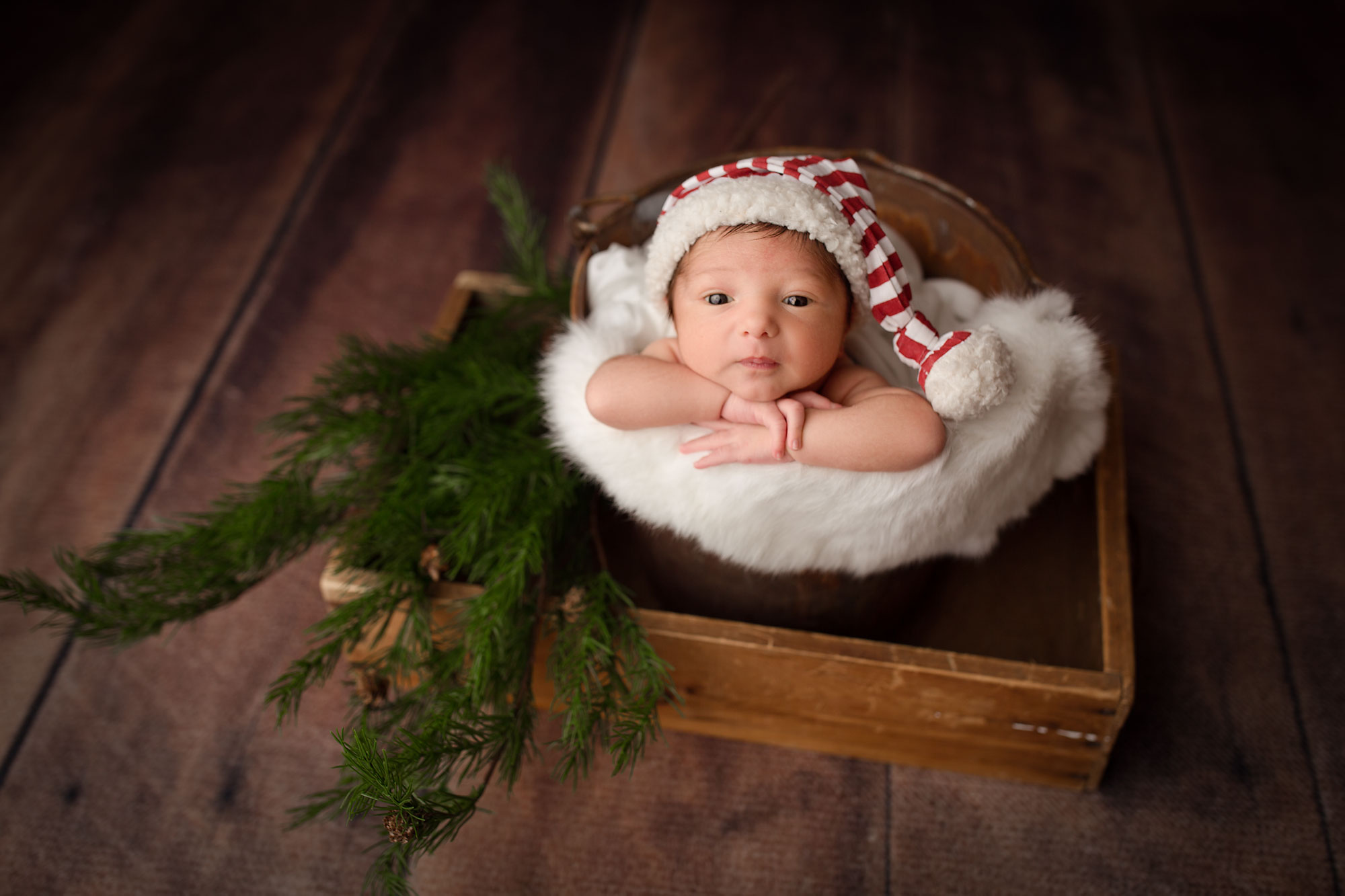 christmas newborn photos nj