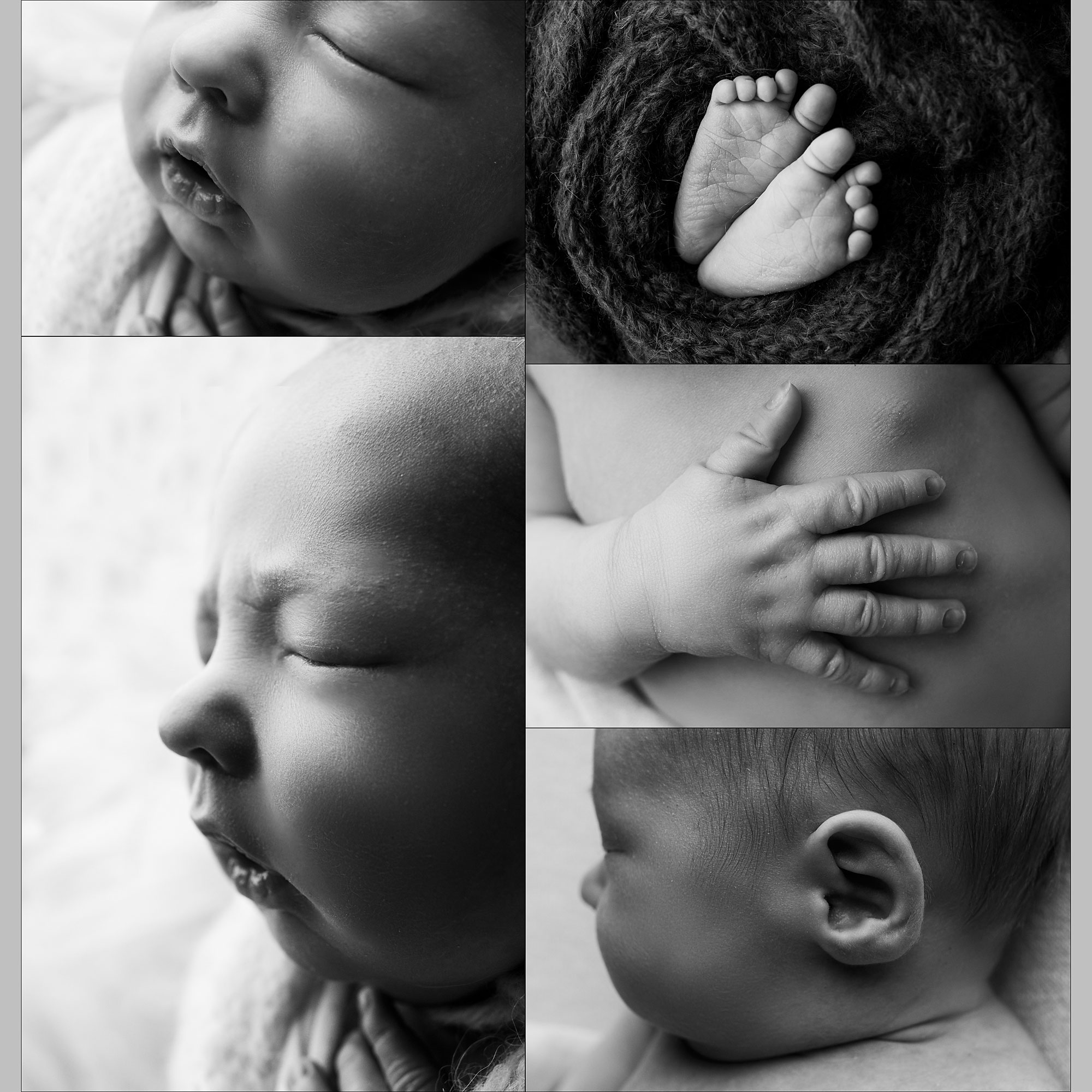 newborn session details hands cheeks and nose 