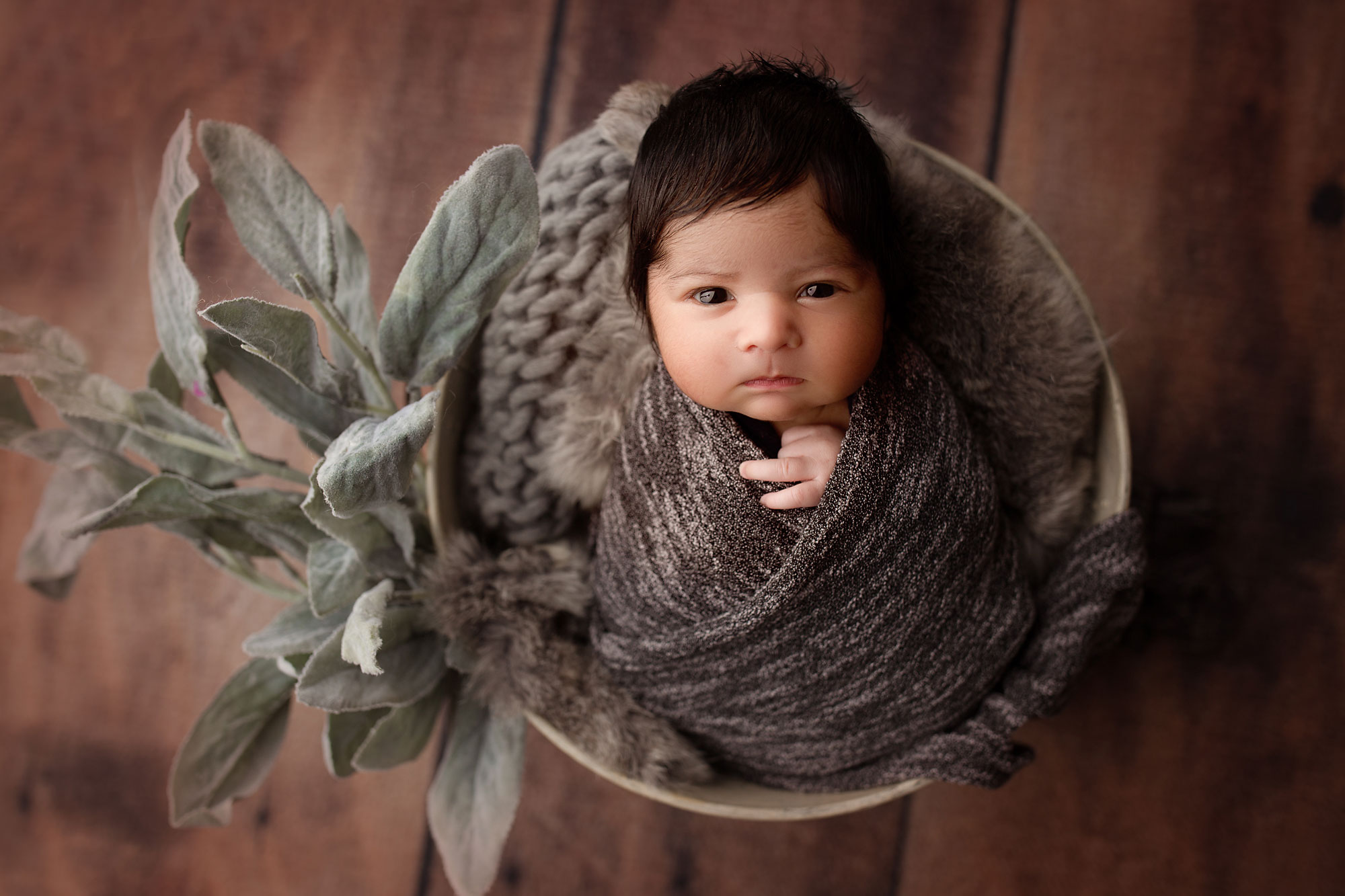 new jersey newborn photographer, baby in gray swaddle sleeping in bucket with decorative leaves