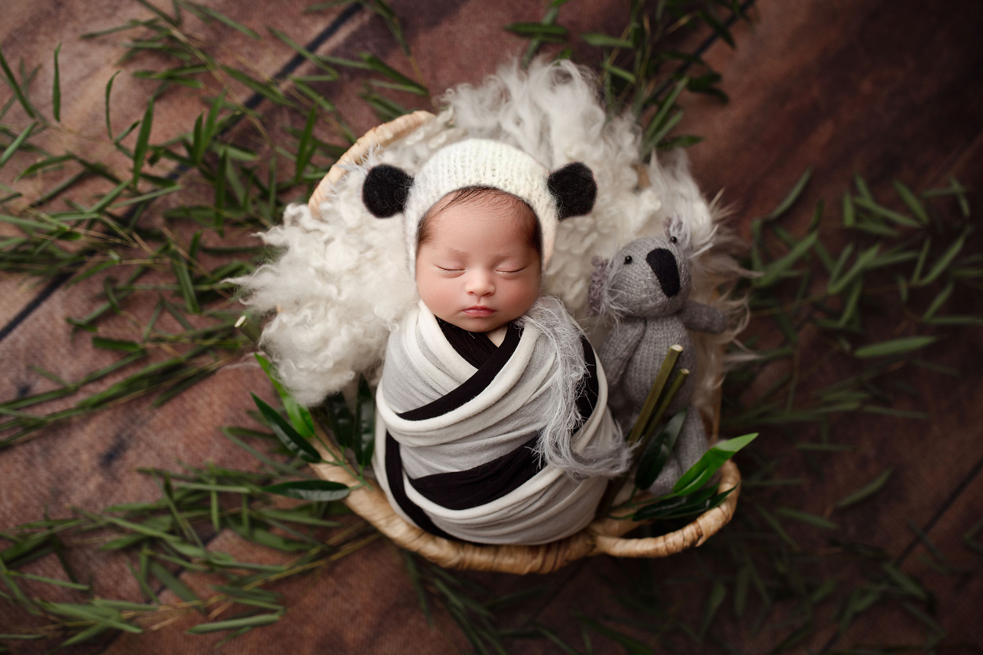 newborn baby dressed as a panda bear, bamboo leaves around the baby