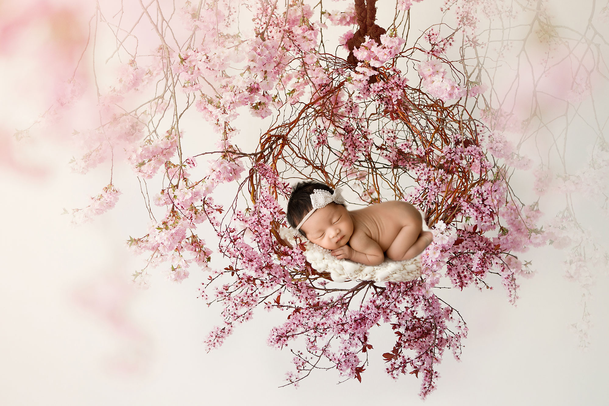 Creative photography of newborn babies baby photos creative and timeless baby girl on a wreath cherry blossoms