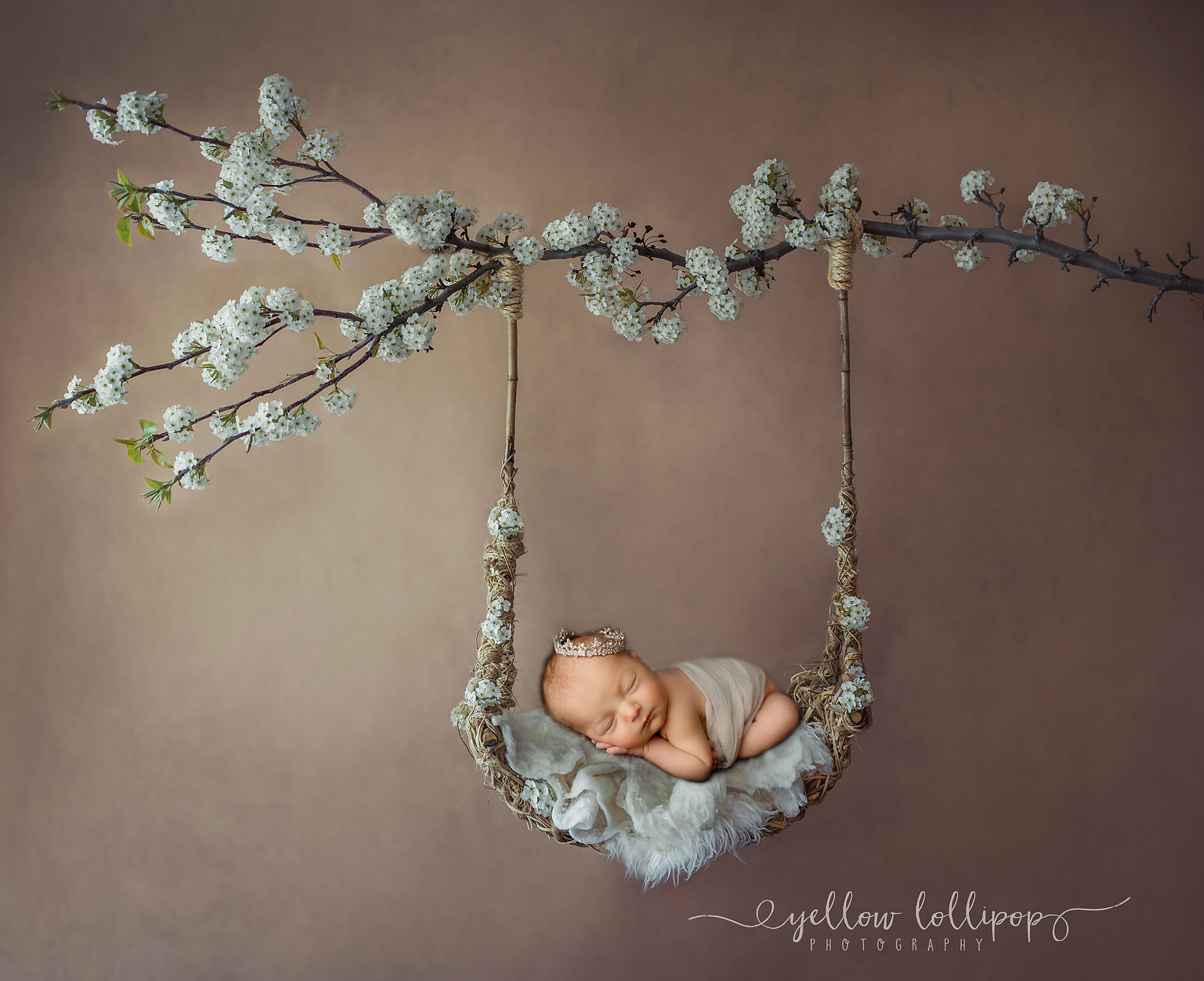 newborn baby on a floral swing creative newborn photography nj 