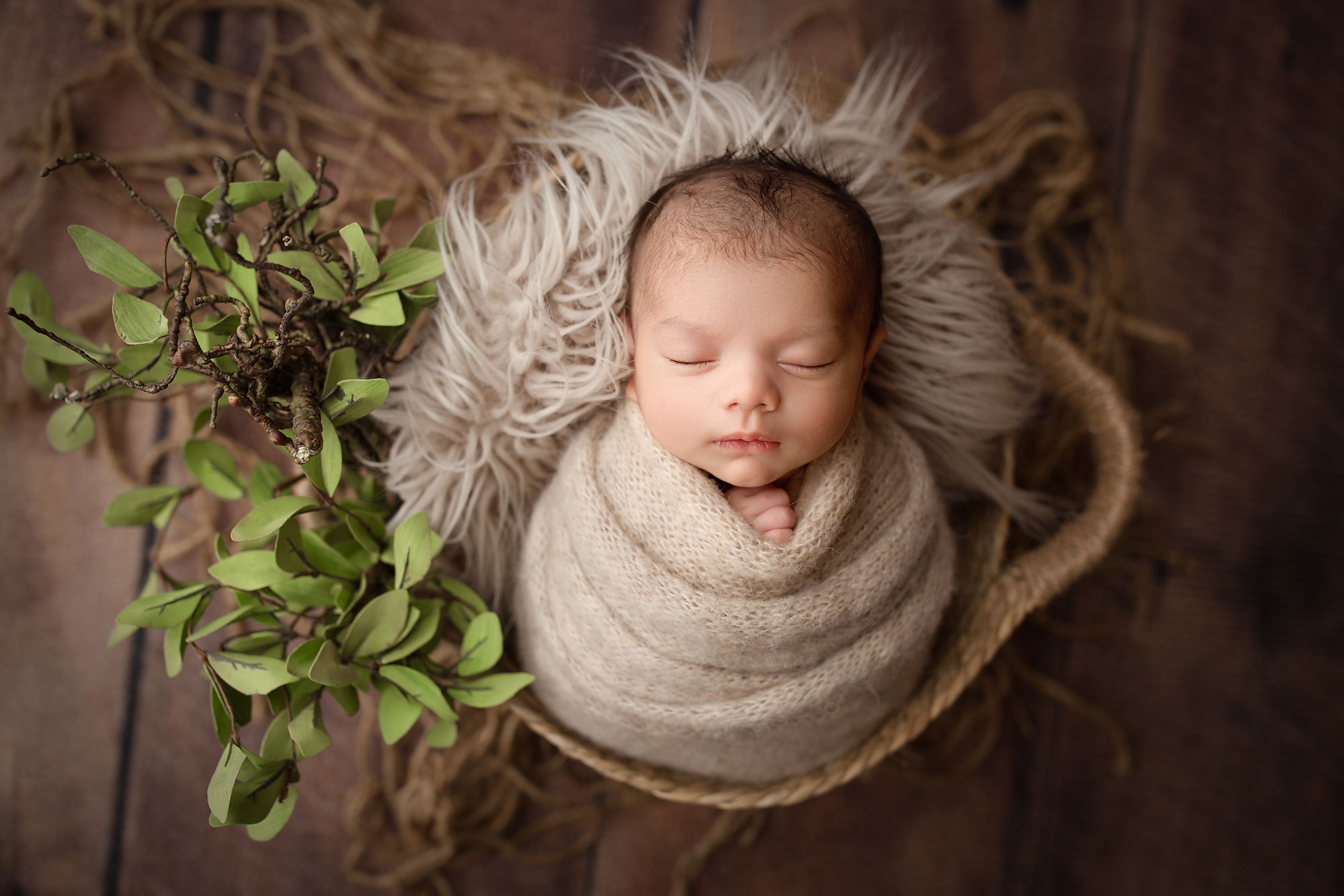 5 Best Newborn Photography Props baby sleeping in a bucket Best Newborn Photography Props 