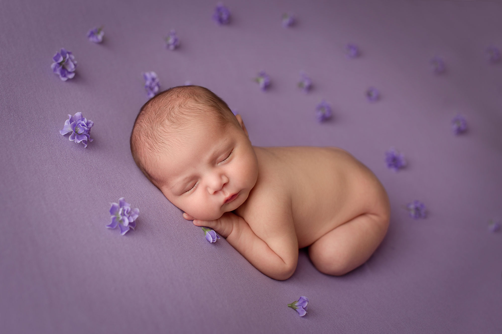 Purple Inspiration Baby Girl Photo Session