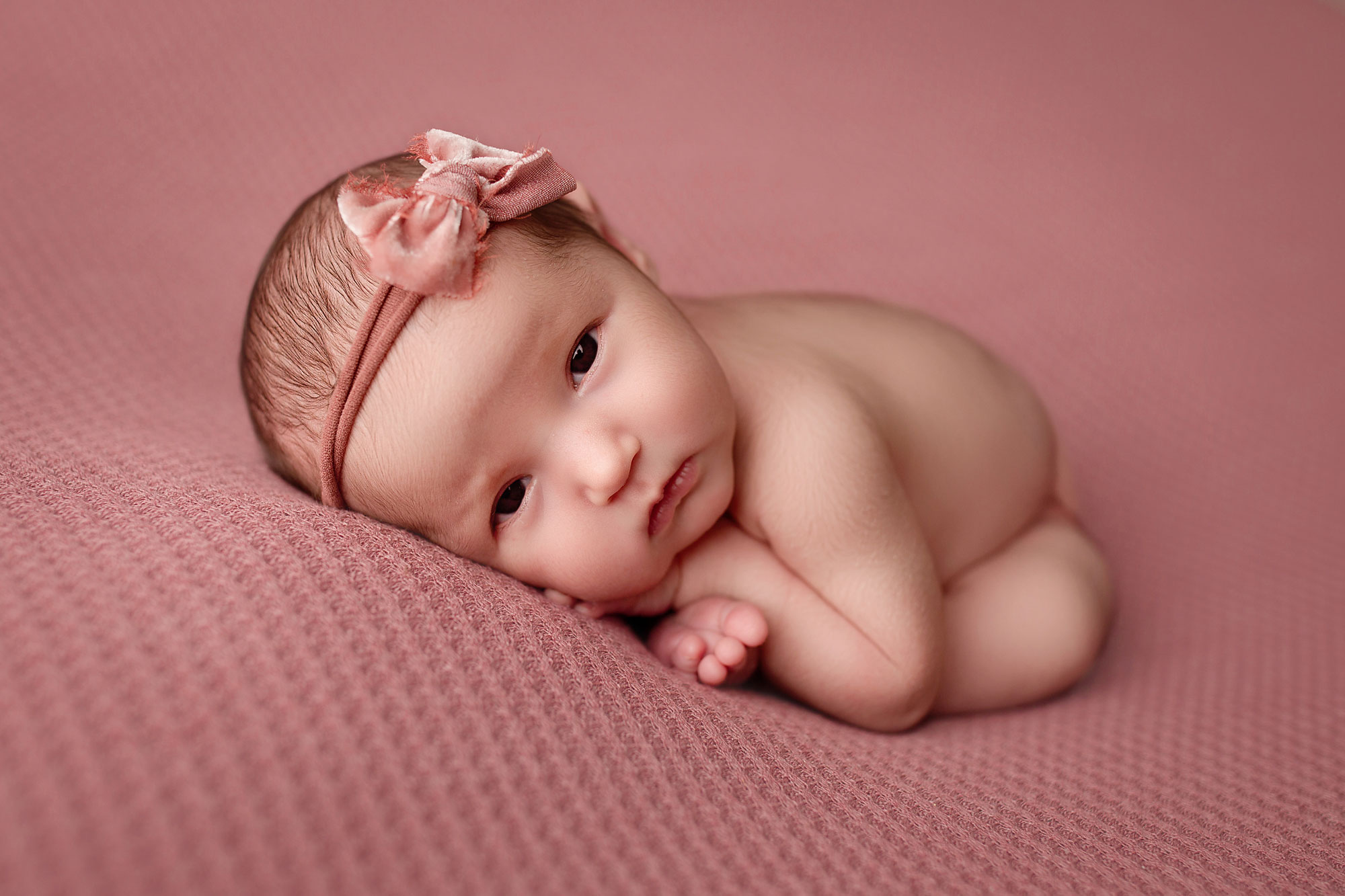 all pink baby girl photo session