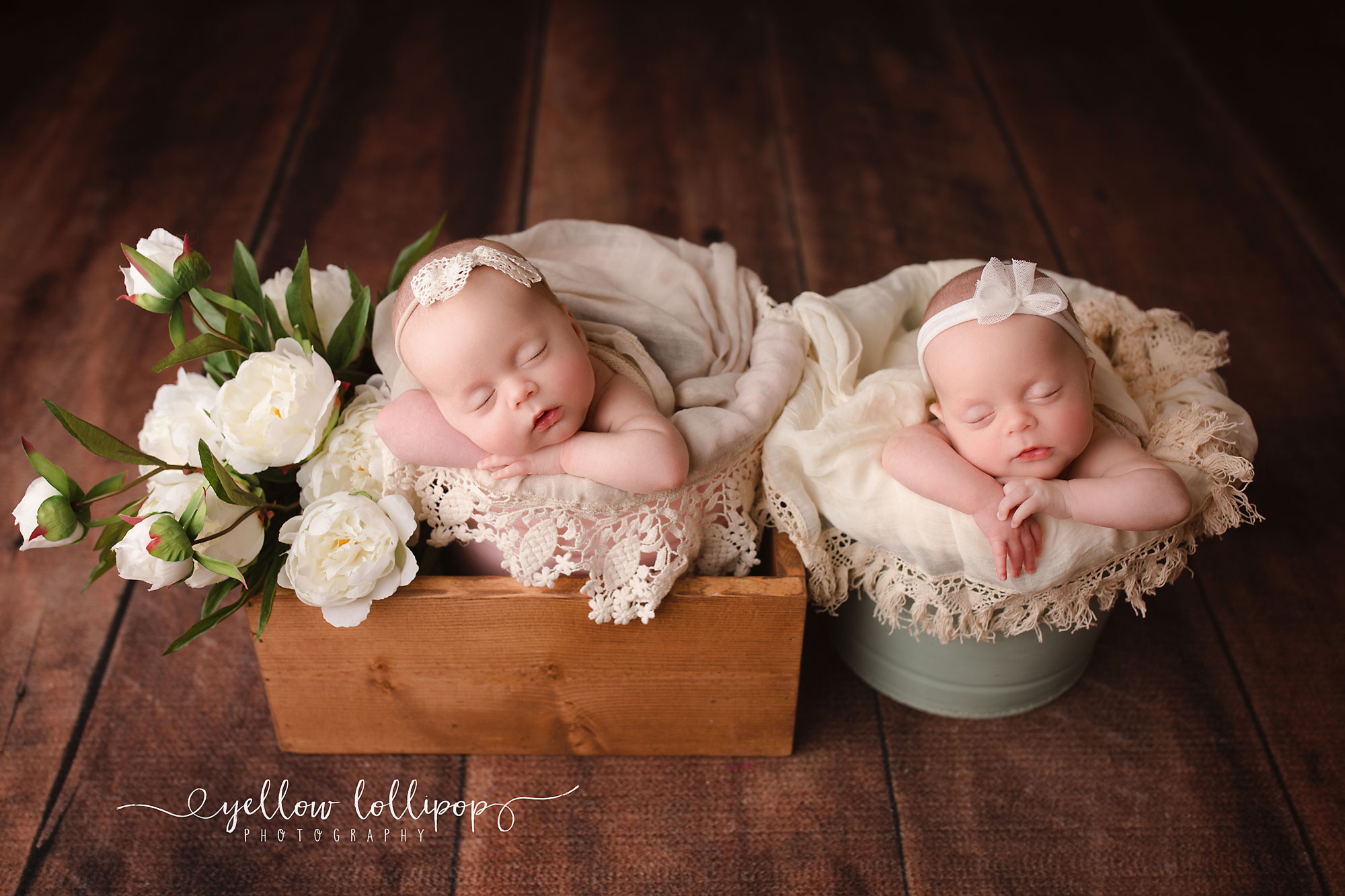 Best Newborn Photography Props babies twins sleeping in a bucket