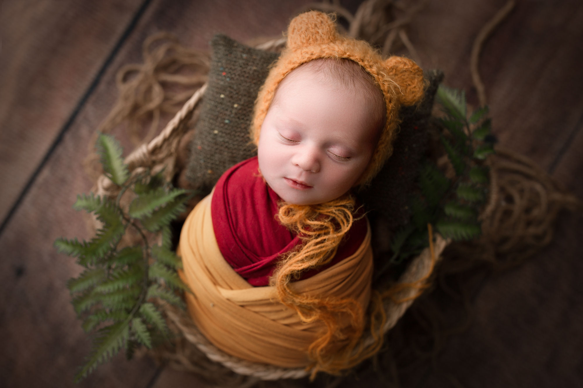 Hillsborough Newborn photo session winnie the pooh