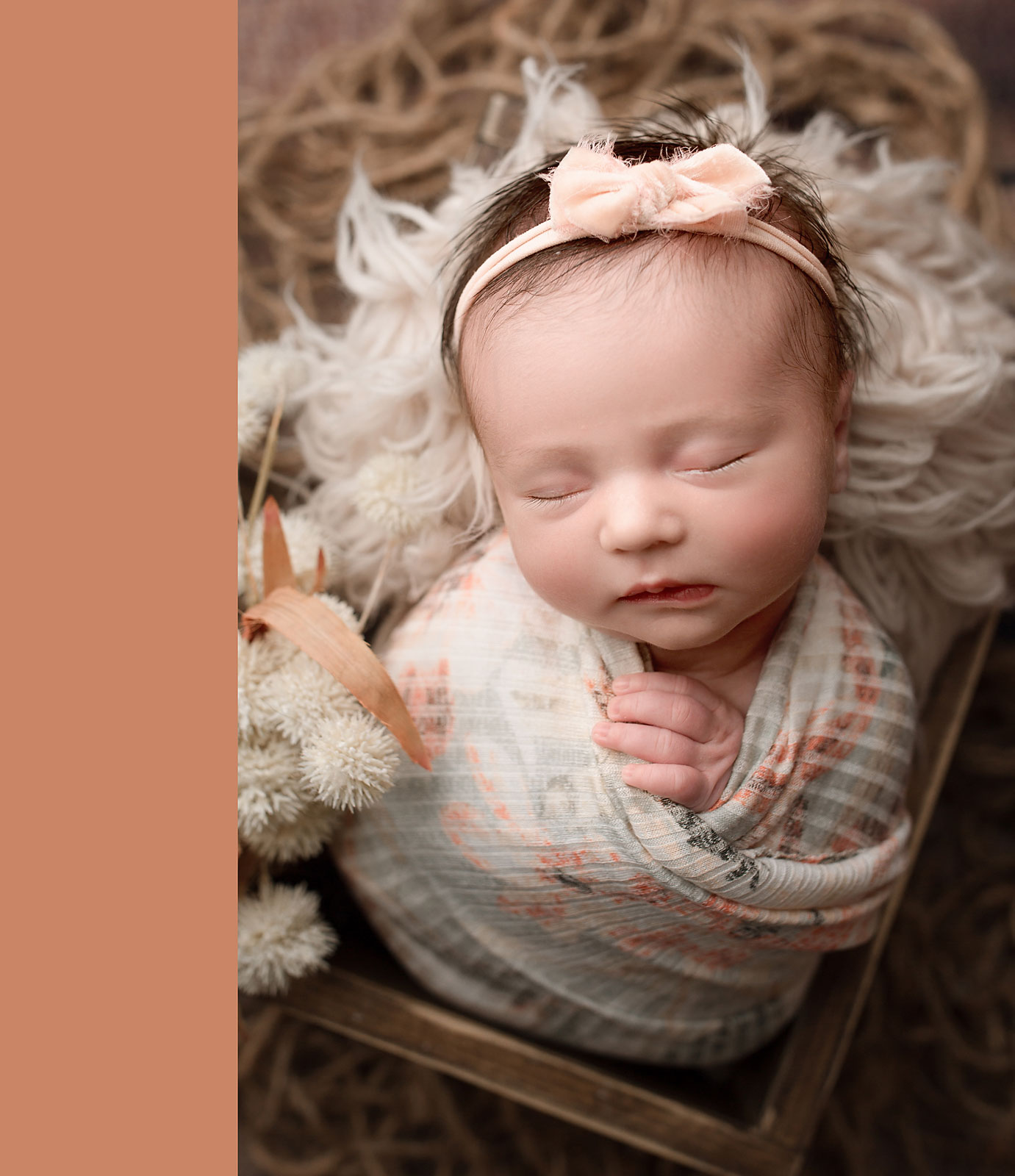 lambertville newborn photo session 