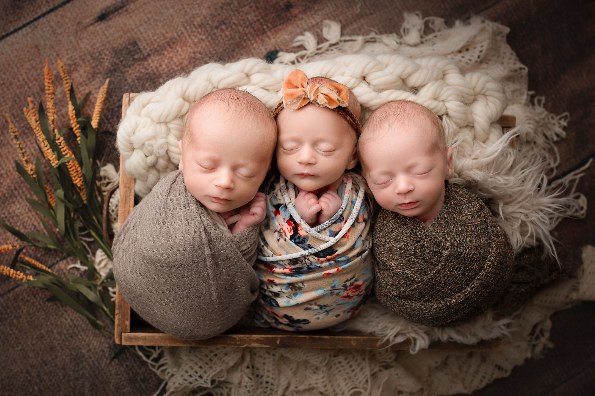 twins triplets and quadruplet photography new jersey