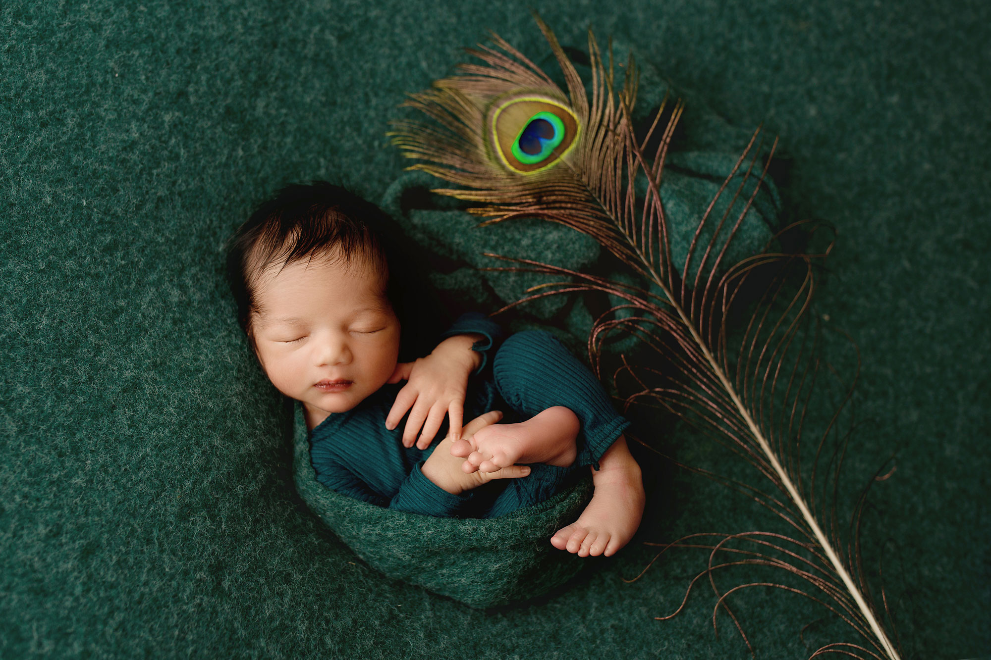 baby boy sleeping during his Hunterdon county NJ newborn session with a peacock feather