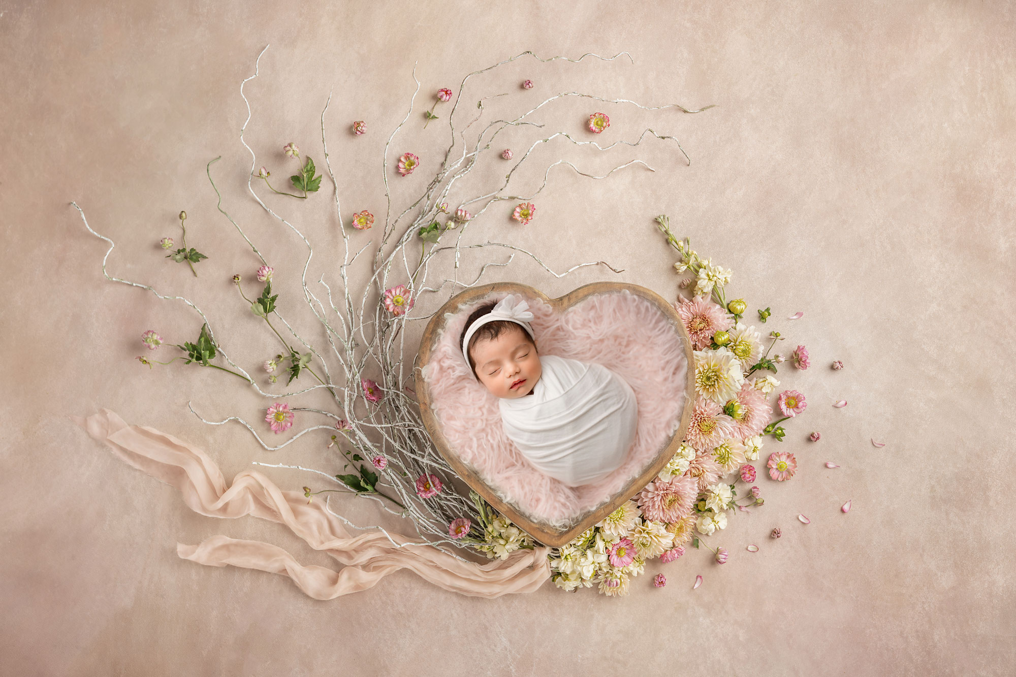 One set up 10 different newborn photos