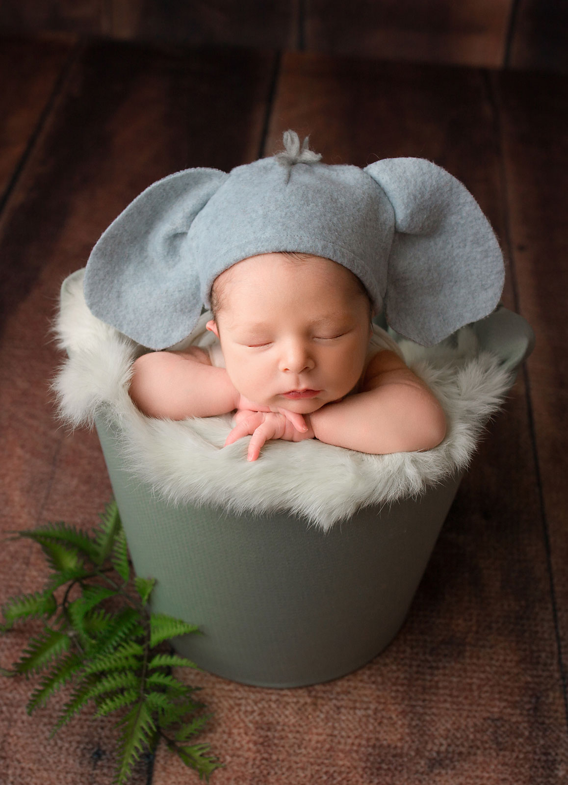 baby boy in a bucket during his Chester NJ newborn photography session 
